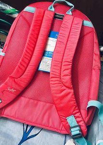 Skybags Backpack - Coral Pink