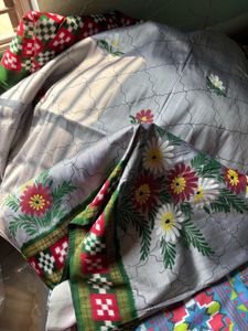 double ikkat pasapali handpainted saree