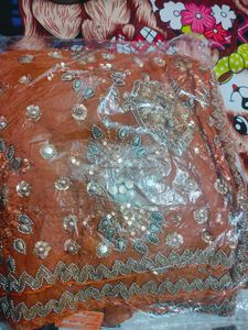 Embellished Saree