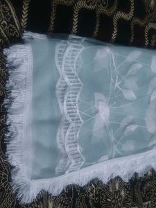Embroidered Net Dupatta