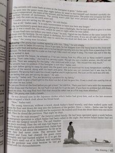 Flamingo And Vistas English Book