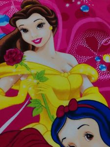 Disney Princess Towel
