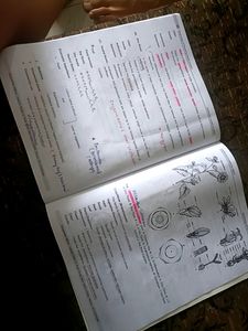 NEW NEET SYLLABUS