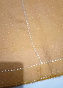 Lehnga Choli