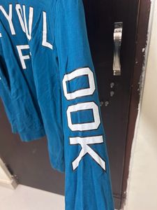 Team Spirit Sweatshirt!!!🦕🦕🦕🦕🦕🦕