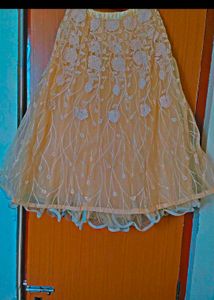 Elegant Yellow Embroidered Lehenga Choli