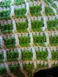 Green Woven Muffler with Fringe ✨