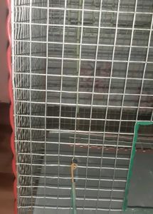 New Bird Cage