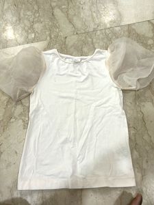 Zara Organza Sleeves Top