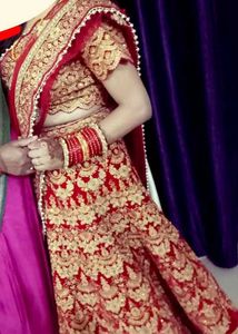 Beautiful Embroidery Sequinned Stitched Lehenga