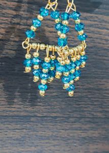 Hook Earrings