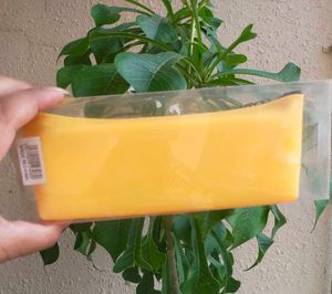 Yellow &#39;Life Style&#39; Pencil Case