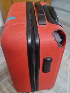 Safari Gym &amp; Travel Bag