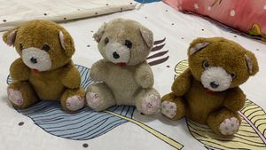 3 Pc Cute Teddies