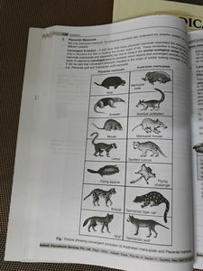 Set Of 2 Zoology Books Class XII