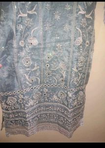 New Organza Kurta Set