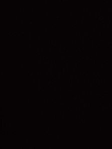 Swiss Beauty BB Foundation