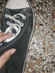Converse Shoes