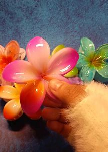 Colorful Plumeria Hair Clips