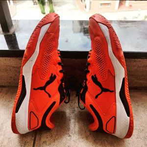 Unisex Orange Sneakers