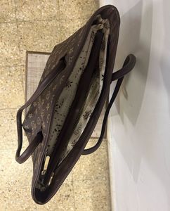 Louis Vuitton (LV) Print Bag