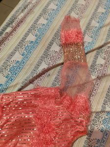 Peach Embellished Lehnga Choli