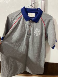 Stylish Grey Polo T-Shirt