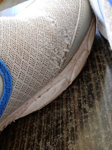 FREE 🚚 Allen Cooper Sneakers For Men