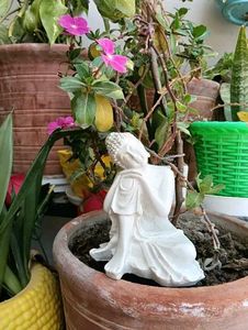 Buddha Idol Showpiece