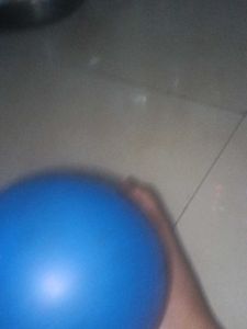 Sijs