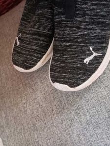 Authentic Puma Shoe