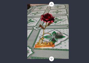 Show Piece 🫴🏻🩷