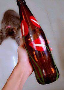 Combo Of Bottle Art Decor