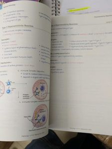 Pathology Marrow Edition 8