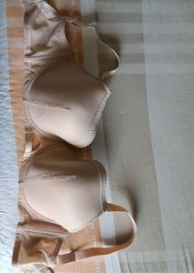 36G Tshirt Bra Nude Colour