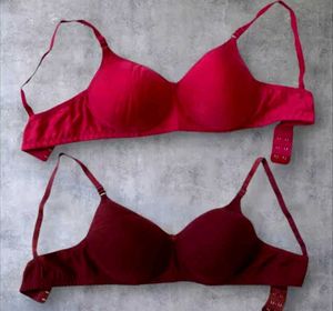 Pink & Burgundy Bra Set