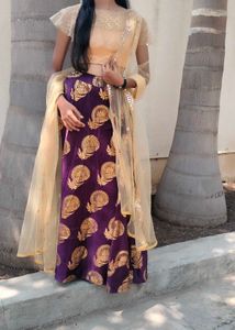 Elegant Lehenga & blouse with frill