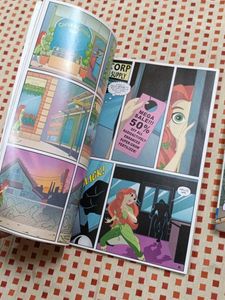 DC Super Hero Girls &amp; Diana Book