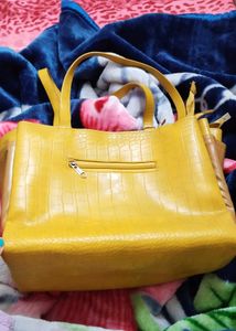 Handbag