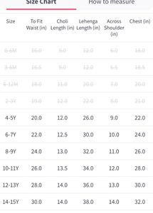 Pink Lehenga Choli Set