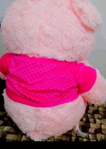 New Teddy Bear