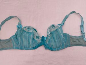 transparent bra