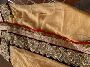 Elegant Embellished Saree