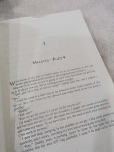 Little Liar by Leigh Rivers