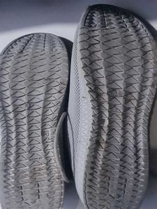 Campus Shoes for Girls &amp; Women | Comfortable |Good