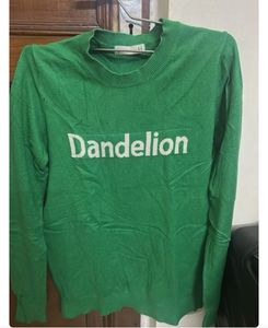 *combo offer (Blue V-Neck and Green sweater)