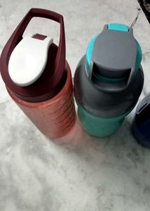 cello.milton.sports.new Water Bottle