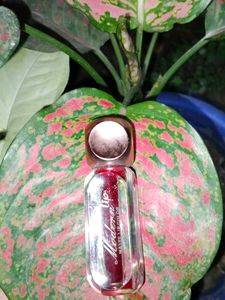 Colorzi Modern Lip Matte Li