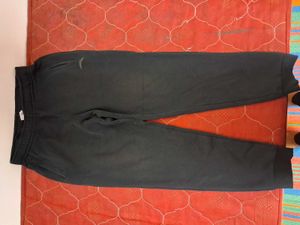 Anta Medium-sized  Lower