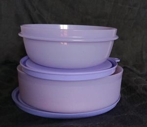 Tupperware Classic Lunch Box With Bag